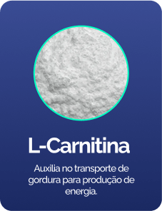 l-cartinina-1.png